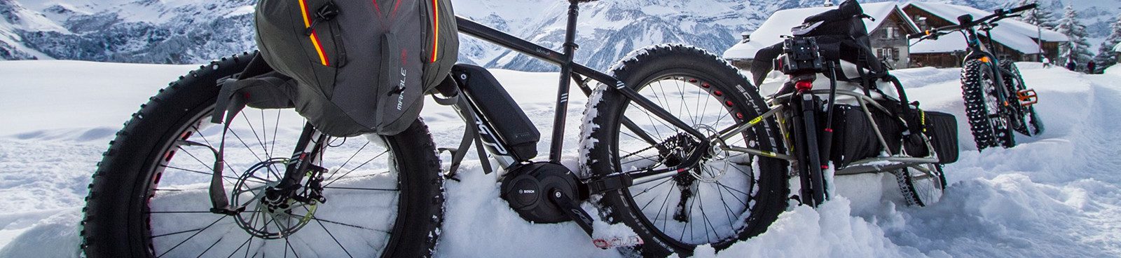 fat-bike-bob-trailer - The Robert Axle Project