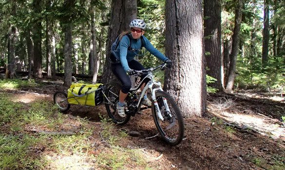 single track bike trailer