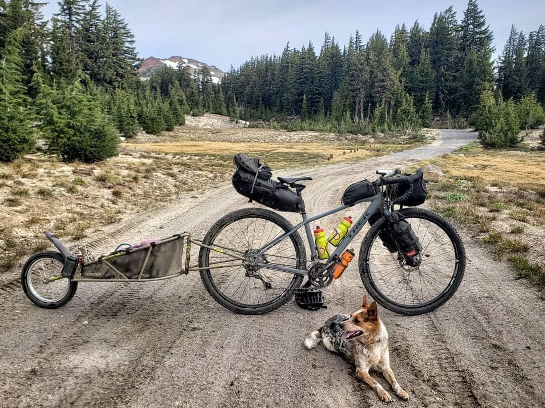 Biking on a gravel road in central Oregon with a dog riding in a BOB trailer.