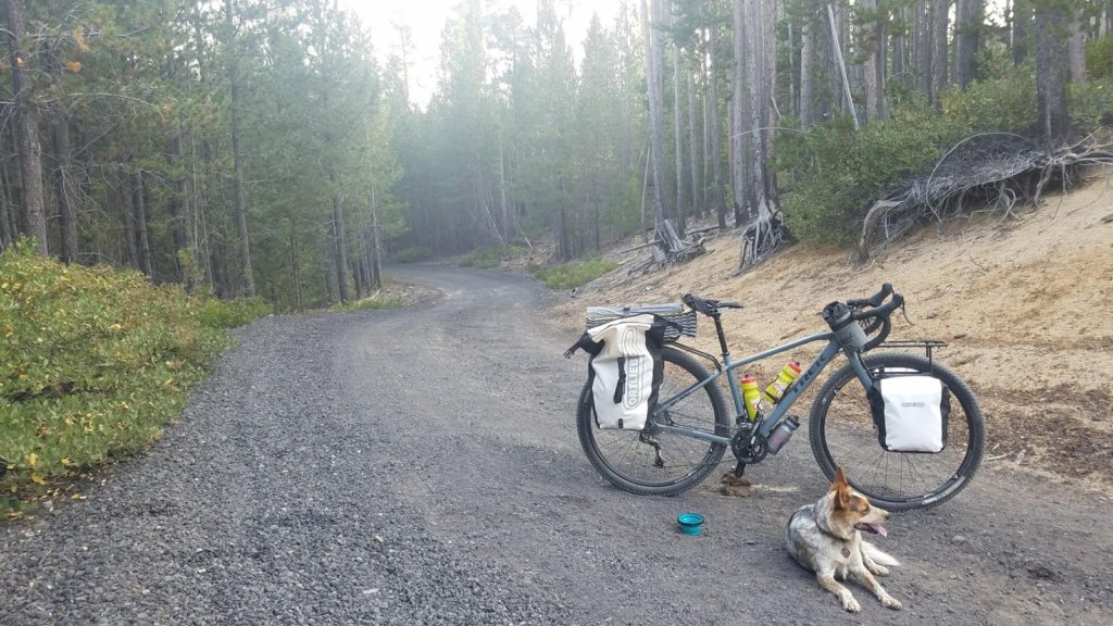 Bikepacking with a dog in central Oregon