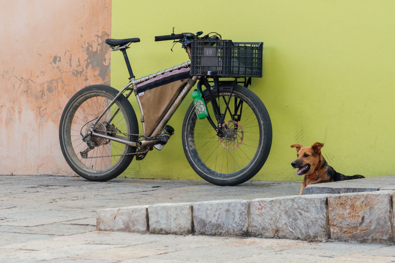 Bike and Huesos by Cass Gilbert