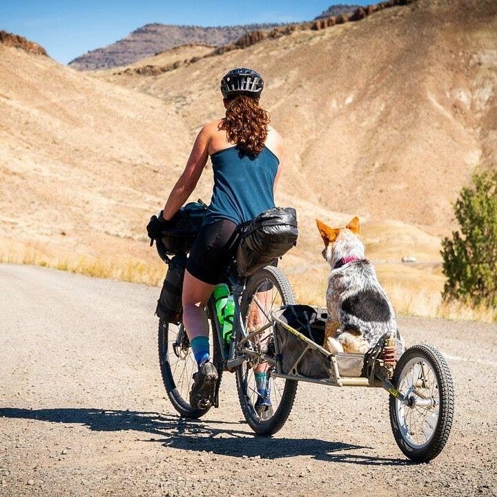Biking on a gravel road in central Oregon with a dog riding in a BOB trailer.